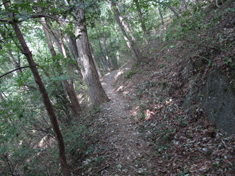 20151006hike (105)